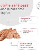 ROYAL CANIN VETERINARY DIET Glycobalance Low Carbohydrate XS-XL dietă veterinară conservă hrană umedă câini diabet (pate) 410g