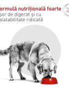 ROYAL CANIN VETERINARY DIET Glycobalance Low Carbohydrate XS-XL dietă veterinară conservă hrană umedă câini diabet (pate) 410g
