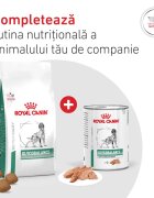 ROYAL CANIN VETERINARY DIET Glycobalance Low Carbohydrate XS-XL dietă veterinară conservă hrană umedă câini diabet (pate) 410g