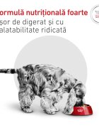 ROYAL CANIN VETERINARY DIET Glycobalance Small Dogs XS-S dietă veterinară hrană uscată câini diabet 1.5kg