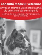 ROYAL CANIN VETERINARY DIET Glycobalance Small Dogs XS-S dietă veterinară hrană uscată câini diabet 4kg