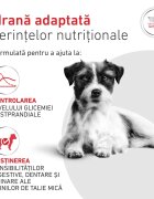 ROYAL CANIN VETERINARY DIET Glycobalance Small Dogs XS-S dietă veterinară hrană uscată câini diabet 4kg