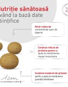 ROYAL CANIN VETERINARY DIET Glycobalance Small Dogs XS-S dietă veterinară hrană uscată câini diabet 4kg