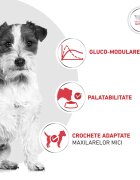 ROYAL CANIN VETERINARY DIET Glycobalance Small Dogs XS-S dietă veterinară hrană uscată câini diabet 4kg