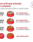 ROYAL CANIN VETERINARY DIET Glycobalance Small Dogs XS-S dietă veterinară hrană uscată câini diabet 4kg