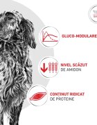 ROYAL CANIN VETERINARY DIET Glycobalance XS-XL dietă veterinară hrană uscată câini diabet 12kg