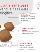 ROYAL CANIN VETERINARY DIET Glycobalance XS-XL dietă veterinară hrană uscată câini diabet 12kg