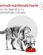 ROYAL CANIN VETERINARY DIET Glycobalance XS-XL dietă veterinară hrană uscată câini diabet 7kg