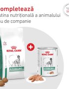 ROYAL CANIN VETERINARY DIET Glycobalance XS-XL dietă veterinară hrană uscată câini diabet 7kg
