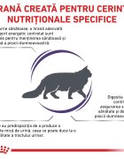 ROYAL CANIN VETERINARY DIET ROYAL CANIN VD Adult Cat dietă veterinară hrană uscată pisici 8kg