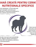 ROYAL CANIN VETERINARY DIET ROYAL CANIN VD Adult Large Dog L-XL dietă veterinară hrană uscată câini 13kg