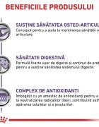 ROYAL CANIN VETERINARY DIET ROYAL CANIN VD Adult Large Dog L-XL dietă veterinară hrană uscată câini 13kg