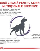 ROYAL CANIN VETERINARY DIET ROYAL CANIN VD Adult Medium Dog M dietă veterinară hrană uscată câini 10kg