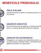 ROYAL CANIN VETERINARY DIET ROYAL CANIN VD Adult Medium Dog M dietă veterinară hrană uscată câini 4kg