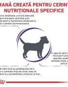 ROYAL CANIN VETERINARY DIET ROYAL CANIN VD Adult Small Dog XS-S dietă veterinară hrană uscată câini 8kg