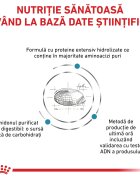 ROYAL CANIN VETERINARY DIET ROYAL CANIN VD Anallergenic dietă veterinară hrană uscată pisici alergii 2kg