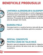 ROYAL CANIN VETERINARY DIET ROYAL CANIN VD Anallergenic Small Dog XS-S dietă veterinară hrană uscată câini alergii alimentare 3kg