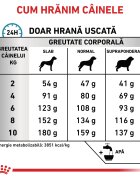 ROYAL CANIN VETERINARY DIET ROYAL CANIN VD Anallergenic Small Dog XS-S dietă veterinară hrană uscată câini alergii alimentare 3kg