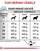 ROYAL CANIN VETERINARY DIET ROYAL CANIN VD Anallergenic XS-XL dietă veterinară hrană uscată câini alergii alimentare 3kg