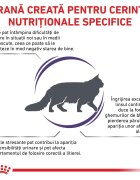 ROYAL CANIN VETERINARY DIET ROYAL CANIN VD Calm dietă veterinară hrană uscată pisici sistem nervos & calmante 4kg