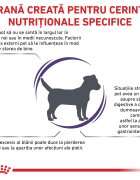 ROYAL CANIN VETERINARY DIET ROYAL CANIN VD Calm XS-XL dietă veterinară hrană uscată câini sistem nervos & calmante 4kg