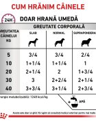 ROYAL CANIN VETERINARY DIET ROYAL CANIN VD Cardiac XS-XL dietă veterinară conservă hrană umedă câini sistem cardio-vascular (pate) 410g