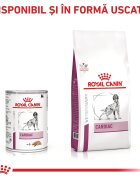 ROYAL CANIN VETERINARY DIET ROYAL CANIN VD Cardiac XS-XL dietă veterinară conservă hrană umedă câini sistem cardio-vascular (pate) 410g