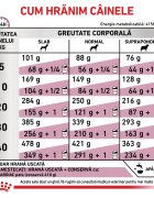 ROYAL CANIN VETERINARY DIET ROYAL CANIN VD Cardiac XS-XL dietă veterinară hrană uscată câini sistem cardio-vascular 14kg