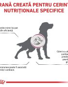 ROYAL CANIN VETERINARY DIET ROYAL CANIN VD Cardiac XS-XL dietă veterinară hrană uscată câini sistem cardio-vascular 7.5kg
