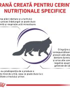 ROYAL CANIN VETERINARY DIET ROYAL CANIN VD Dental dietă veterinară hrană uscată pisici sensibilități dentare 1.5kg
