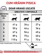 ROYAL CANIN VETERINARY DIET ROYAL CANIN VD Dental dietă veterinară hrană uscată pisici sensibilități dentare 1.5kg