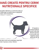 ROYAL CANIN VETERINARY DIET ROYAL CANIN VD Dental Small Dog XS-S dietă veterinară hrană uscată câini sensibilități dentare 1.5kg
