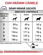 ROYAL CANIN VETERINARY DIET ROYAL CANIN VD Dental Small Dog XS-S dietă veterinară hrană uscată câini sensibilități dentare 1.5kg