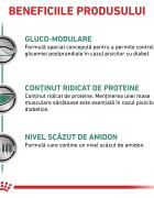 ROYAL CANIN VETERINARY DIET ROYAL CANIN VD Diabetic dietă veterinară hrană uscată pisici diabet 400g