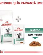 ROYAL CANIN VETERINARY DIET ROYAL CANIN VD Diabetic dietă veterinară hrană uscată pisici diabet 400g