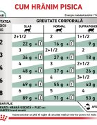 ROYAL CANIN VETERINARY DIET ROYAL CANIN VD Diabetic dietă veterinară plic hrană umedă pisici diabet (în sos) bax 85g x 12buc
