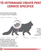 ROYAL CANIN VETERINARY DIET ROYAL CANIN VD Early Renal dietă veterinară hrană uscată pisici sistem renal 1.5kg