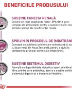 ROYAL CANIN VETERINARY DIET ROYAL CANIN VD Early Renal dietă veterinară hrană uscată pisici sistem renal 3.5kg