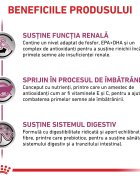 ROYAL CANIN VETERINARY DIET ROYAL CANIN VD Early Renal dietă veterinară plic hrană umedă pisici sistem renal (în sos) bax 85g x 12buc