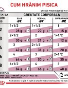 ROYAL CANIN VETERINARY DIET ROYAL CANIN VD Early Renal dietă veterinară plic hrană umedă pisici sistem renal (în sos) bax 85g x 12buc