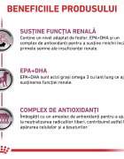 ROYAL CANIN VETERINARY DIET ROYAL CANIN VD Early Renal XS-XL dietă veterinară plic hrană umedă câini sistem renal (în sos) bax 100g x 12buc