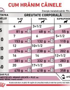 ROYAL CANIN VETERINARY DIET ROYAL CANIN VD Early Renal XS-XL dietă veterinară plic hrană umedă câini sistem renal (în sos) bax 100g x 12buc