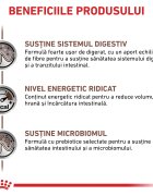 ROYAL CANIN VETERINARY DIET ROYAL CANIN VD Gastrointestinal dietă veterinară hrană uscată pisici sistem digestiv 400g