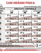 ROYAL CANIN VETERINARY DIET ROYAL CANIN VD Gastrointestinal dietă veterinară hrană uscată pisici sistem digestiv 4kg
