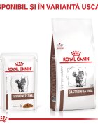 ROYAL CANIN VETERINARY DIET ROYAL CANIN VD Gastrointestinal dietă veterinară plic hrană umedă pisici sistem digestiv (în sos) bax 85g x 12buc