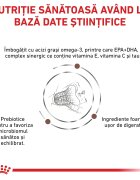 ROYAL CANIN VETERINARY DIET ROYAL CANIN VD Gastrointestinal Fibre Response dietă veterinară hrană uscată pisici sistem digestiv 4kg