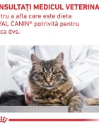ROYAL CANIN VETERINARY DIET ROYAL CANIN VD Gastrointestinal Fibre Response dietă veterinară hrană uscată pisici sistem digestiv 4kg