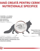 ROYAL CANIN VETERINARY DIET ROYAL CANIN VD Gastrointestinal Fibre Response dietă veterinară plic hrană umedă pisici sistem digestiv (în sos) bax 85g x 12buc