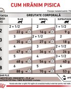 ROYAL CANIN VETERINARY DIET ROYAL CANIN VD Gastrointestinal Fibre Response dietă veterinară plic hrană umedă pisici sistem digestiv (în sos) bax 85g x 12buc