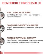 ROYAL CANIN VETERINARY DIET ROYAL CANIN VD Gastrointestinal High Fibre XS-XL dietă veterinară conservă hrană umedă câini sistem digestiv (pate) 200g